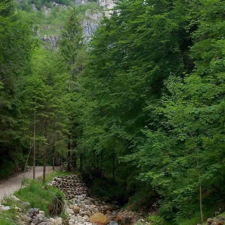 Haus Granata Family - Trekking - Bike Giazza